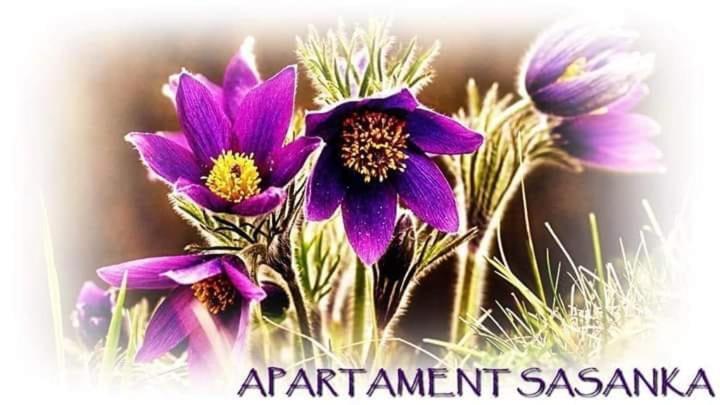 شقة Apartament Sasanka كوفاره المظهر الخارجي الصورة